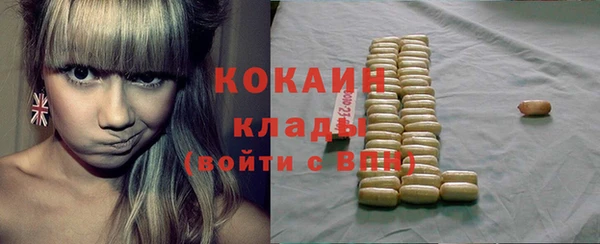 прущие грибы Белокуриха